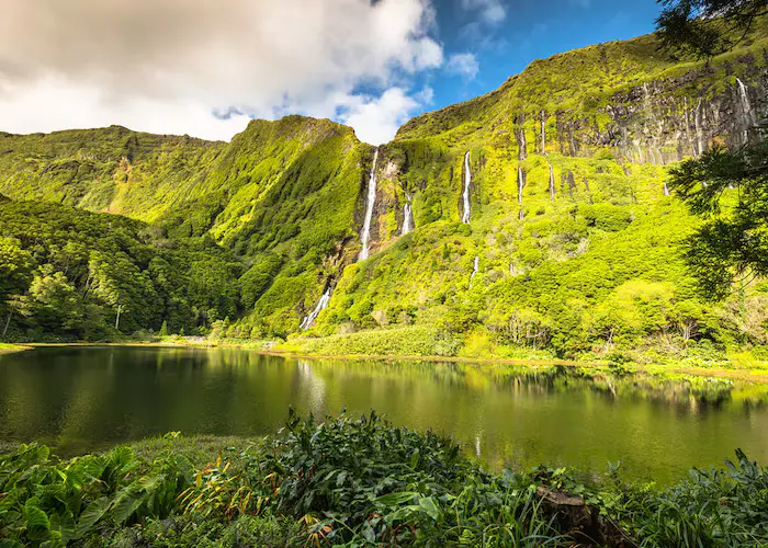 madeira e açores agência de viagens carreira