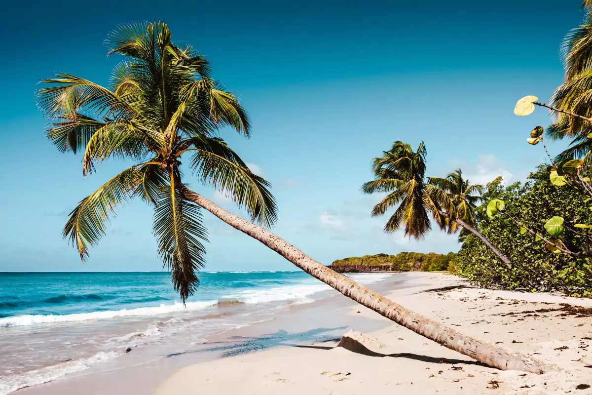 agência de viagens carreira cruzeiro caraibas